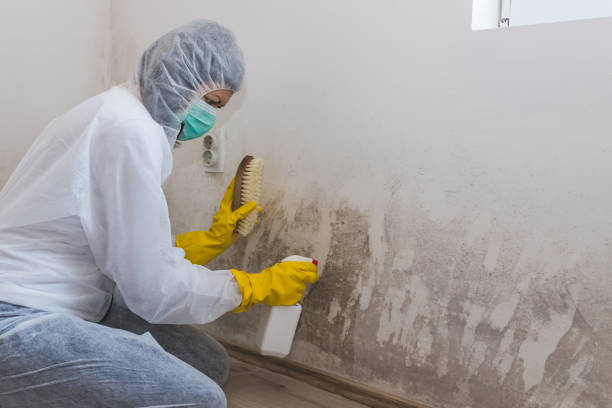 Best Crawl Space Mold Removal  in Sanford, ME