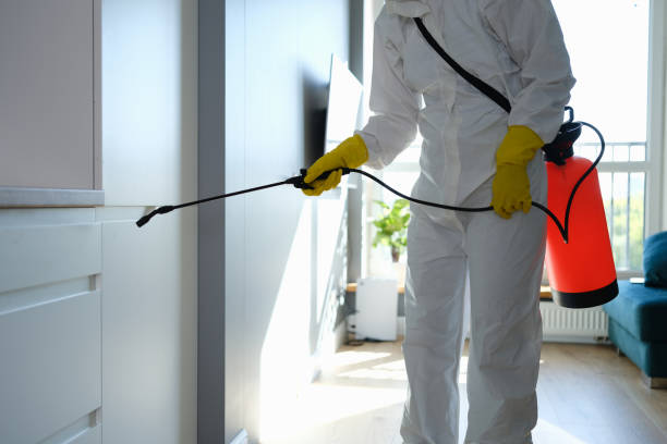 Best Toxic Mold Removal  in Sanford, ME