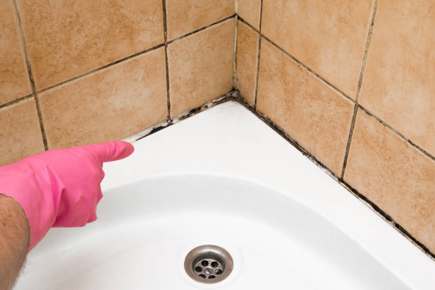Best Crawl Space Mold Removal  in Sanford, ME